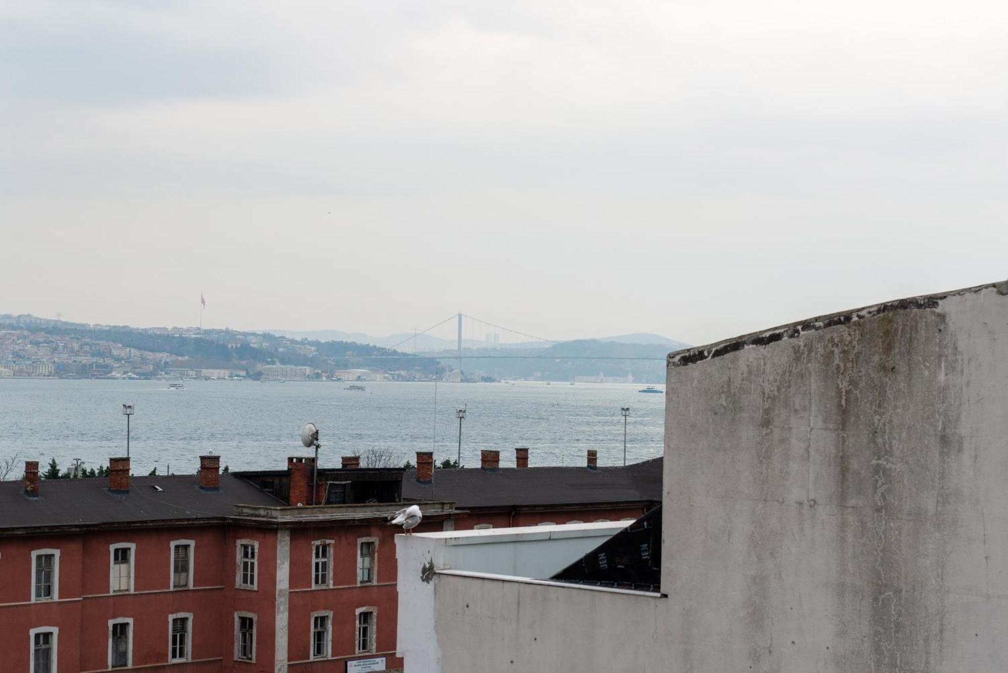 Mr. Bird Provincia di Istanbul